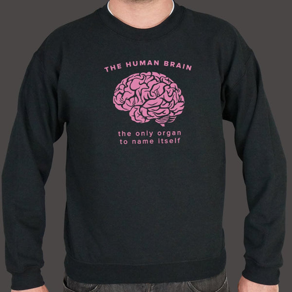 The Human Brain Sweater