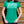 Bowling Green Survivor Women's T-Shirt