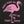 Flamingo Foot Down Kids' T-Shirt