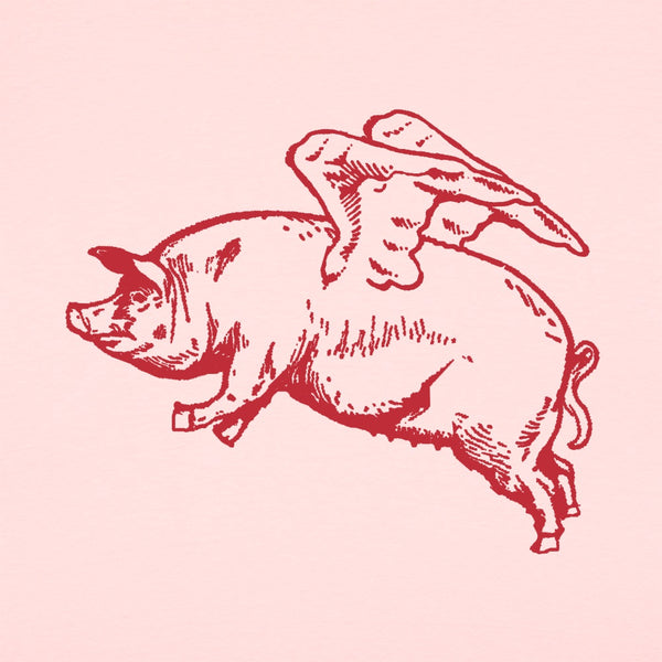 Flying Pig Women's T-Shirt