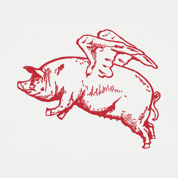 Flying Pig Women's T-Shirt