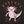 Axolotl Men's T-Shirt