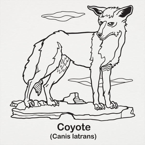 Coyote Women's T-Shirt