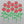 Dozen Roses Women's T-Shirt