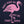 Flamingo Foot Down Women's T-Shirt