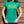 Friends Are Family Women's T-Shirt