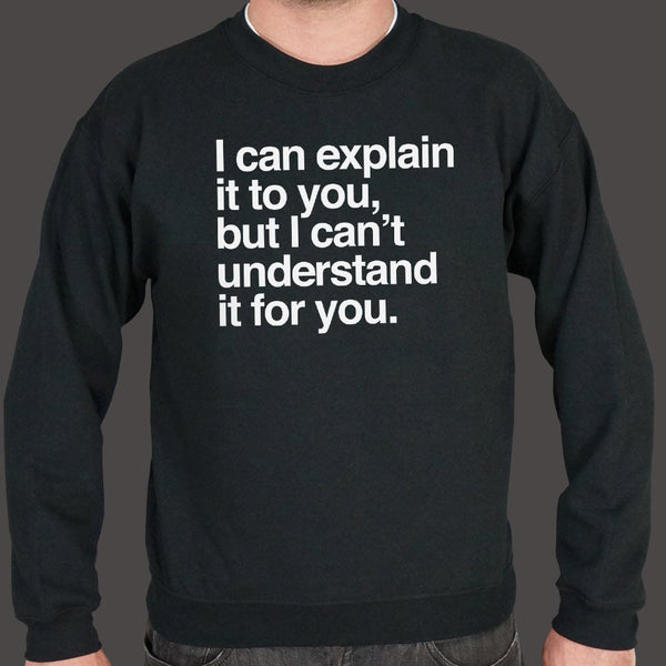 I Can Explain It To You Sweater