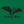 Leather Bird Women's T-Shirt