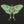 Luna Moth Men's T-Shirt
