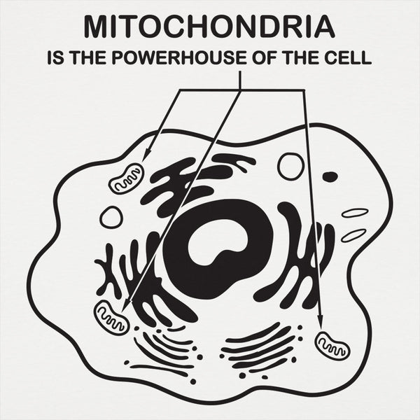 Mitochondria Men's T-Shirt