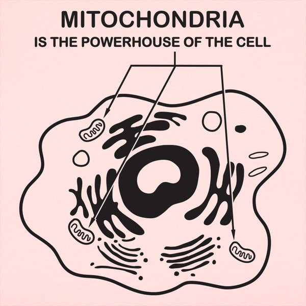 Mitochondria Women's T-Shirt