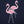 Pink Flamingos Women's T-Shirt