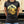 A Puft Zilla Moment Women's T-Shirt