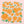 Pumpkin Patch Women's T-Shirt