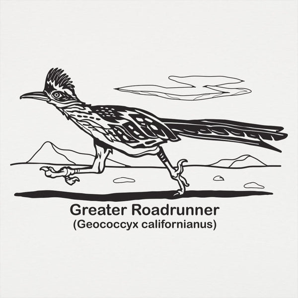 Roadrunner Women's T-Shirt