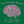 The Human Brain Women's T-Shirt