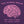 The Human Brain Women's T-Shirt