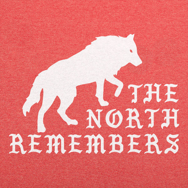 The North Remembers Men's T-Shirt
